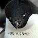 사진 설명