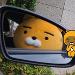 사진 설명