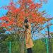 사진 설명
