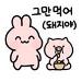사진 설명