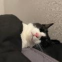 사진 설명