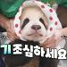 사진 설명