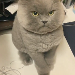 사진 설명