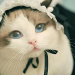 사진 설명