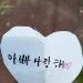 사진 설명