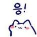 사진 설명