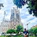 사진 설명