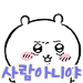 사진 설명