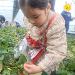 사진 설명