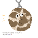 사진 설명