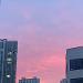 사진 설명