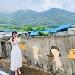 사진 설명
