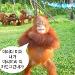 사진 설명
